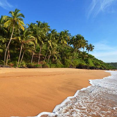 Photo beautiful landscape of palm trees and clouds at Goa in Indiaocean beach with island and palm trees